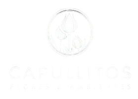 Capullitos Flores y Ambientes